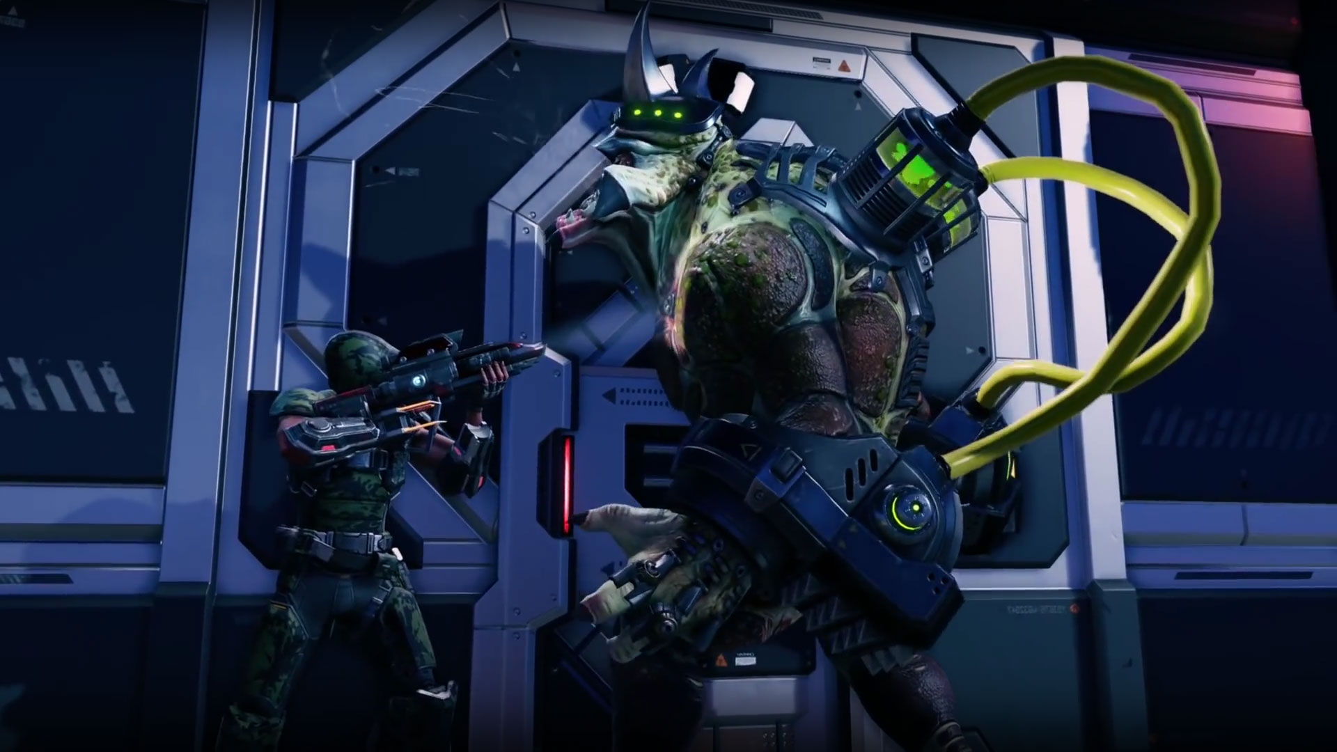 Operation Frost Fist